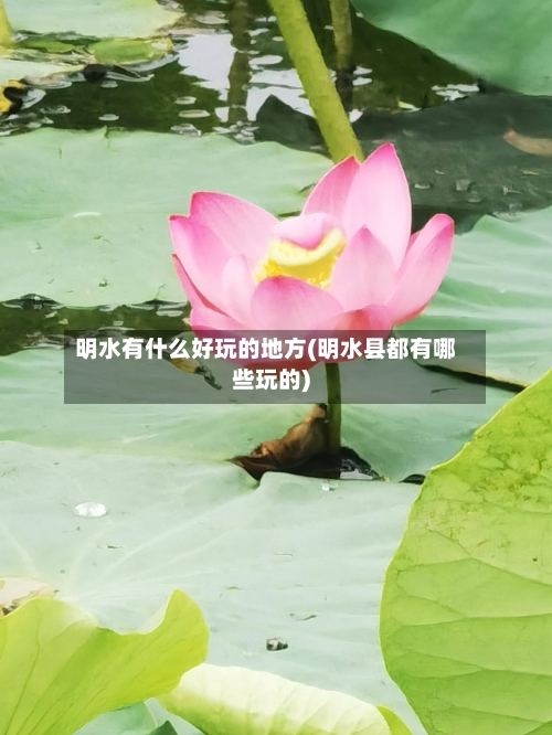 明水有什么好玩的地方(明水县都有哪些玩的)