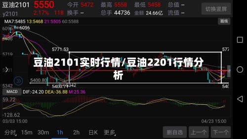 豆油2101实时行情/豆油2201行情分析