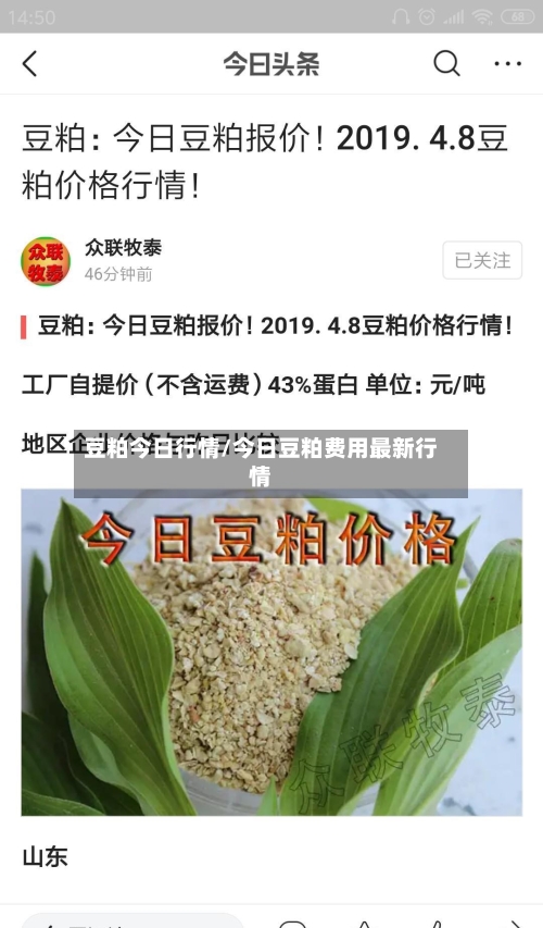 豆粕今日行情/今日豆粕费用最新行情-第2张图片