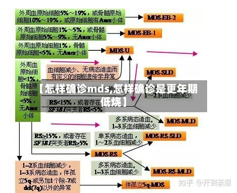 【怎样确诊mds,怎样确诊是更年期低烧】-第2张图片