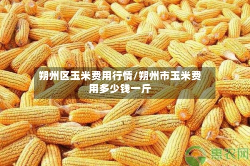 朔州区玉米费用行情/朔州市玉米费用多少钱一斤-第2张图片