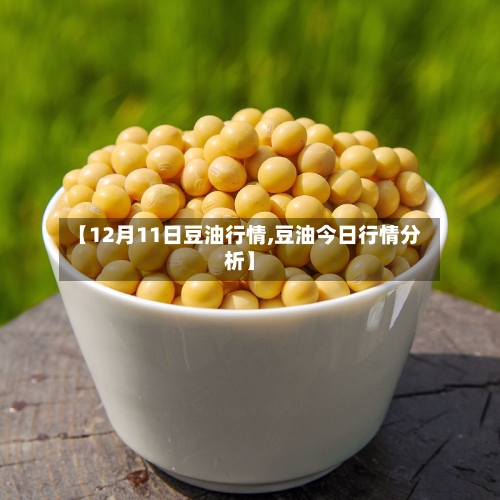 【12月11日豆油行情,豆油今日行情分析】