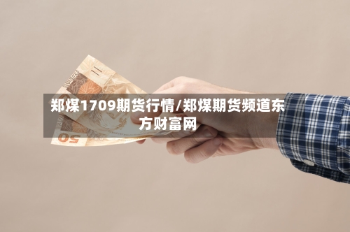 郑煤1709期货行情/郑煤期货频道东方财富网-第2张图片