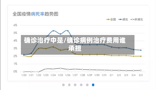确诊治疗中是/确诊病例治疗费用谁承担