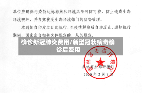 确诊新冠肺炎费用/新型冠状病毒确诊后费用