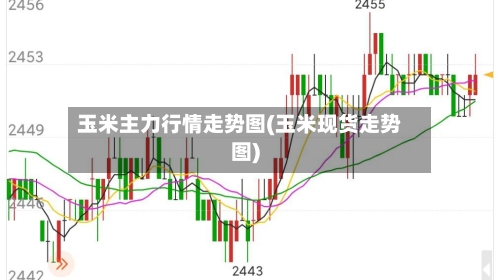 玉米主力行情走势图(玉米现货走势图)
