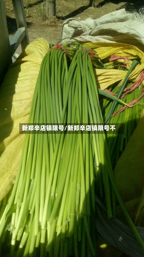 新郑辛店镇限号/新郑辛店镇限号不-第2张图片