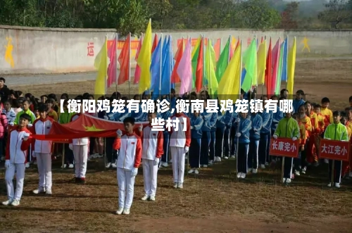 【衡阳鸡笼有确诊,衡南县鸡笼镇有哪些村】-第2张图片