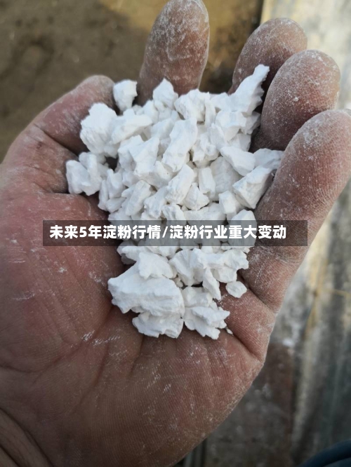 未来5年淀粉行情/淀粉行业重大变动-第2张图片