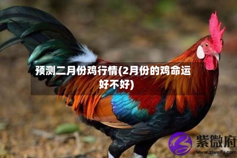 预测二月份鸡行情(2月份的鸡命运好不好)-第2张图片