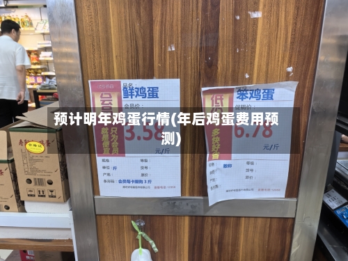 预计明年鸡蛋行情(年后鸡蛋费用预测)-第2张图片