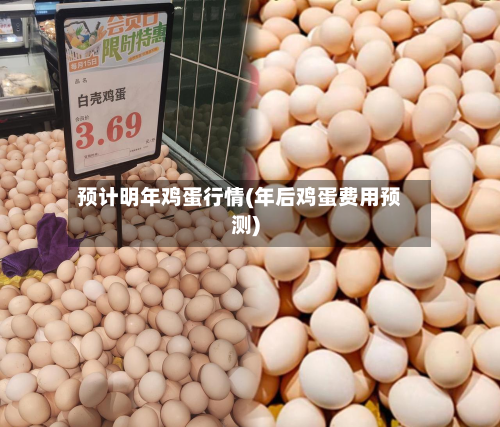 预计明年鸡蛋行情(年后鸡蛋费用预测)