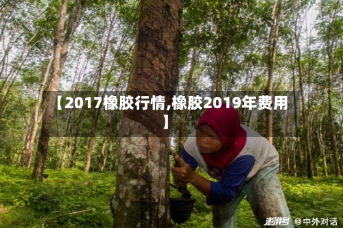 【2017橡胶行情,橡胶2019年费用】-第2张图片
