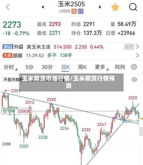 玉米期货市场行情/玉米期货行情预测