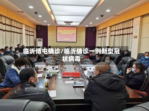 临沂傅屯确诊/临沂确诊一例新型冠状病毒-第2张图片