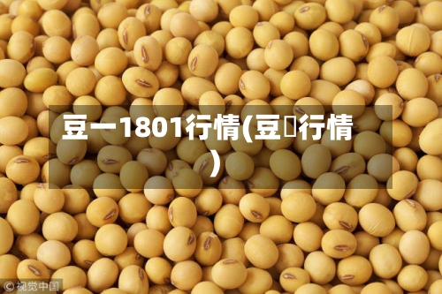 豆一1801行情(豆粨行情)