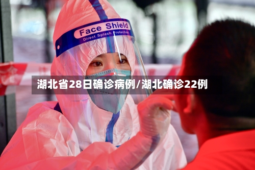 湖北省28日确诊病例/湖北确诊22例