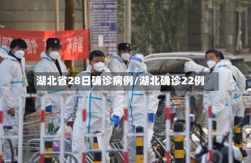 湖北省28日确诊病例/湖北确诊22例-第2张图片
