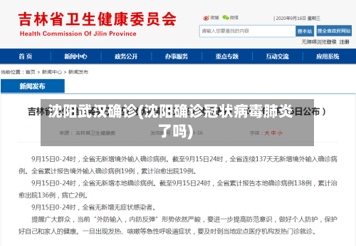 沈阳武汉确诊(沈阳确诊冠状病毒肺炎了吗)