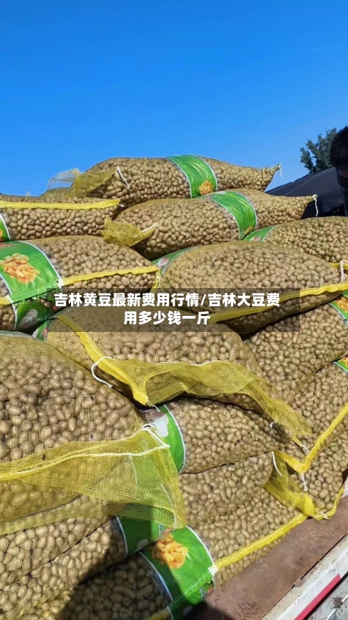吉林黄豆最新费用行情/吉林大豆费用多少钱一斤