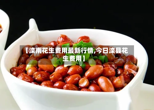 【滦南花生费用最新行情,今日滦县花生费用】-第3张图片