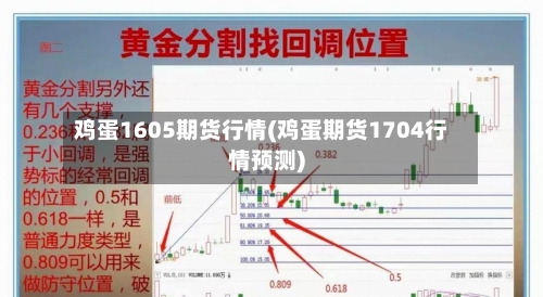 鸡蛋1605期货行情(鸡蛋期货1704行情预测)-第2张图片