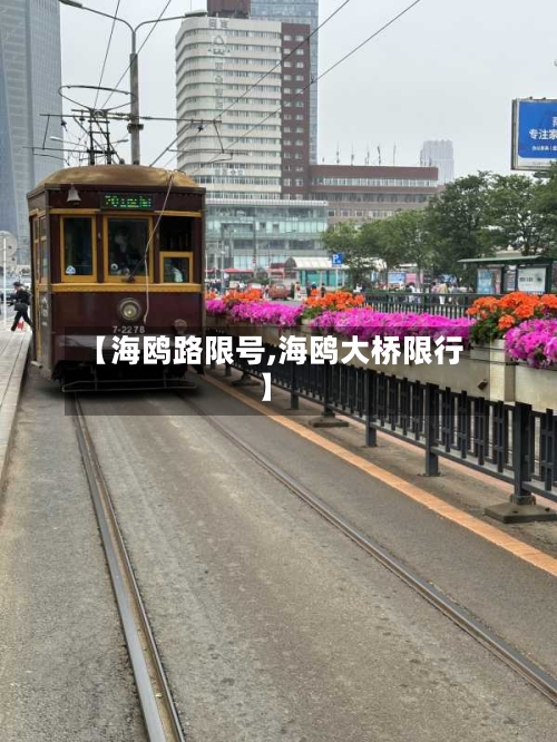 【海鸥路限号,海鸥大桥限行】-第2张图片