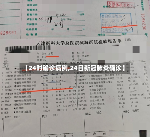 【24时确诊病例,24日新冠肺炎确诊】-第2张图片