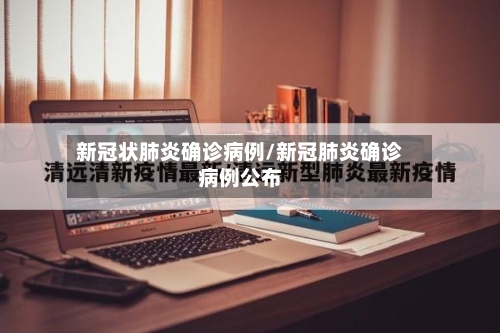 新冠状肺炎确诊病例/新冠肺炎确诊病例公布