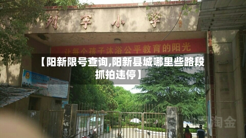 【阳新限号查询,阳新县城哪里些路段抓拍违停】