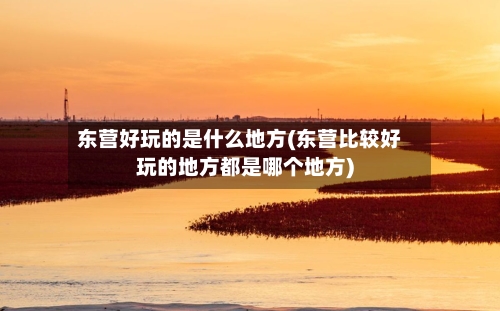 东营好玩的是什么地方(东营比较好玩的地方都是哪个地方)