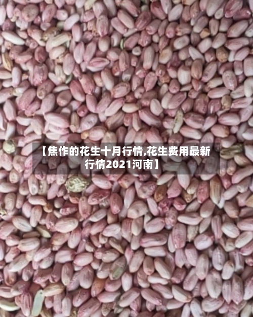 【焦作的花生十月行情,花生费用最新行情2021河南】