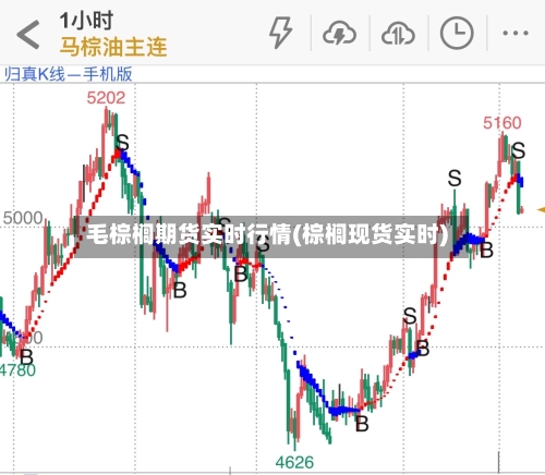 毛棕榈期货实时行情(棕榈现货实时)