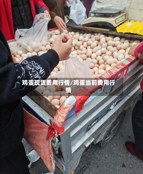 鸡蛋现货费用行情/鸡蛋当前费用行情
