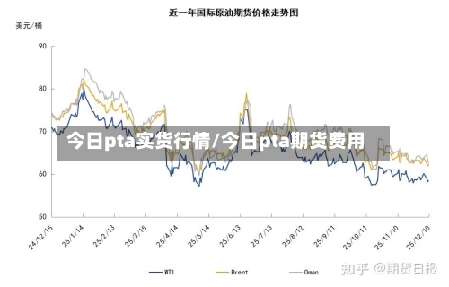 今日pta实货行情/今日pta期货费用-第2张图片
