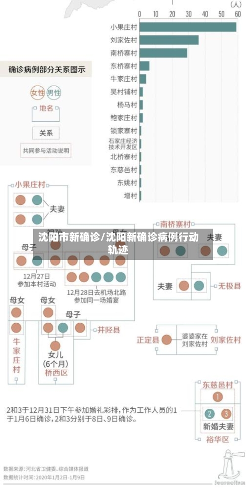 沈阳市新确诊/沈阳新确诊病例行动轨迹
