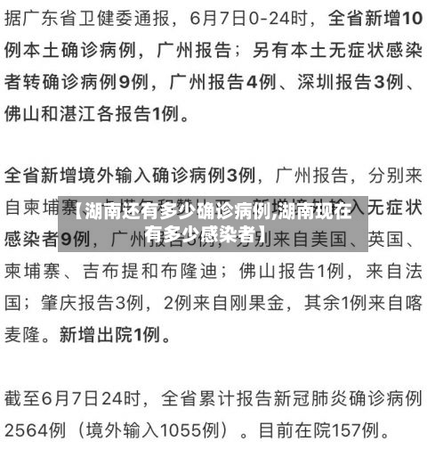 【湖南还有多少确诊病例,湖南现在有多少感染者】