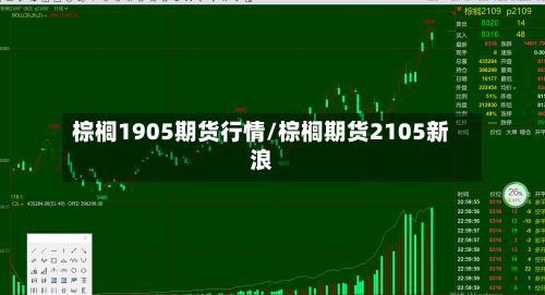 棕榈1905期货行情/棕榈期货2105新浪