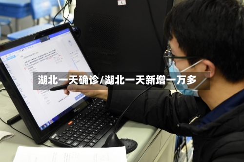 湖北一天确诊/湖北一天新增一万多