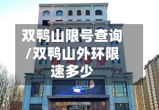 双鸭山限号查询/双鸭山外环限速多少