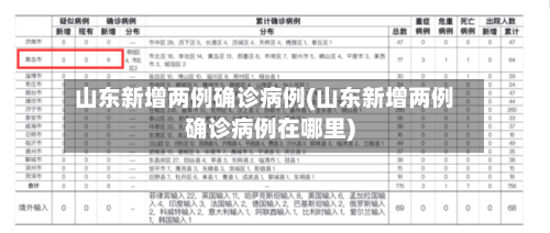 山东新增两例确诊病例(山东新增两例确诊病例在哪里)-第2张图片