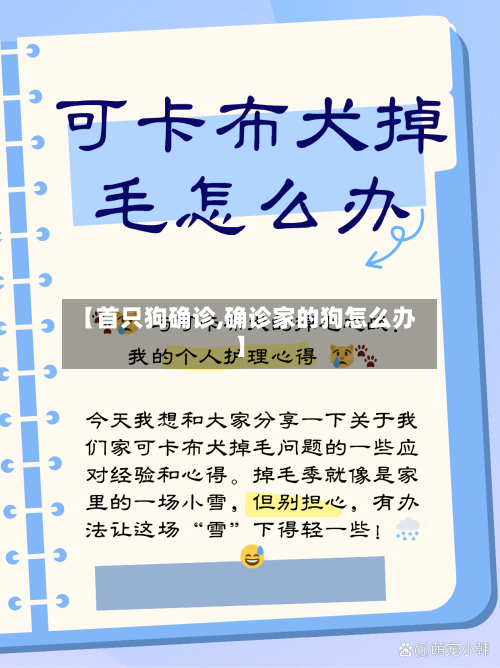【首只狗确诊,确诊家的狗怎么办】