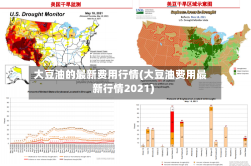 大豆油的最新费用行情(大豆油费用最新行情2021)