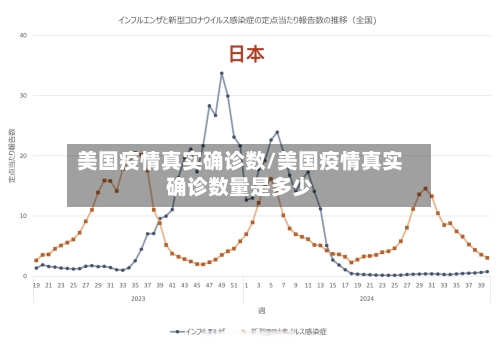 美国疫情真实确诊数/美国疫情真实确诊数量是多少