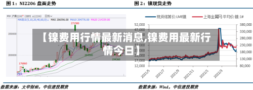 【镍费用行情最新消息,镍费用最新行情今日】-第2张图片
