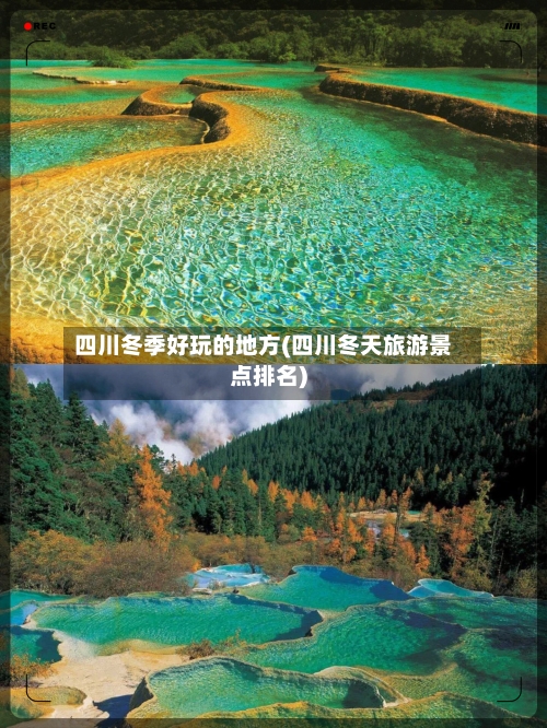 四川冬季好玩的地方(四川冬天旅游景点排名)