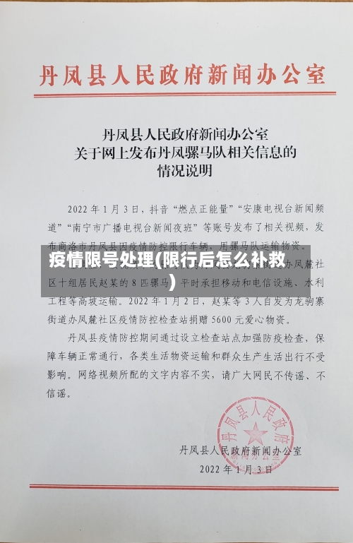 疫情限号处理(限行后怎么补救)