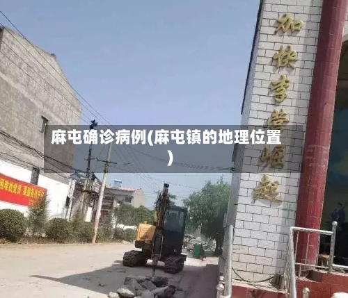麻屯确诊病例(麻屯镇的地理位置)