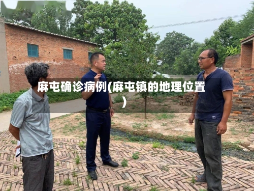 麻屯确诊病例(麻屯镇的地理位置)-第2张图片