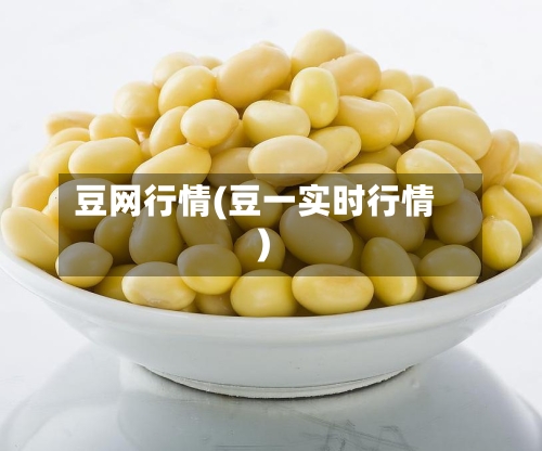豆网行情(豆一实时行情)-第2张图片